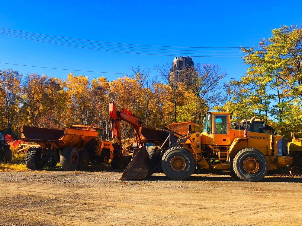 machines against fall trees